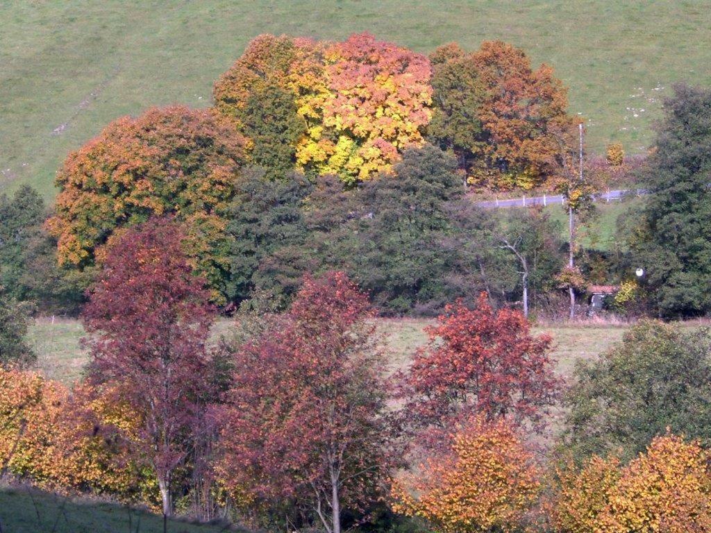 Appartamento Traum Am See Winterberg Esterno foto